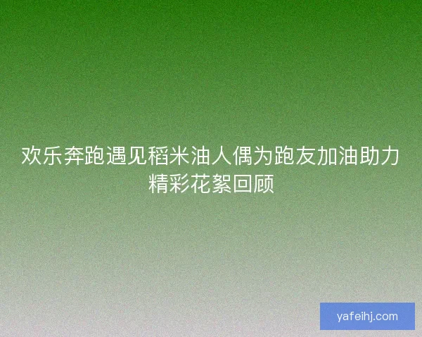 欢乐奔跑遇见稻米油人偶为跑友加油助力精彩花絮回顾