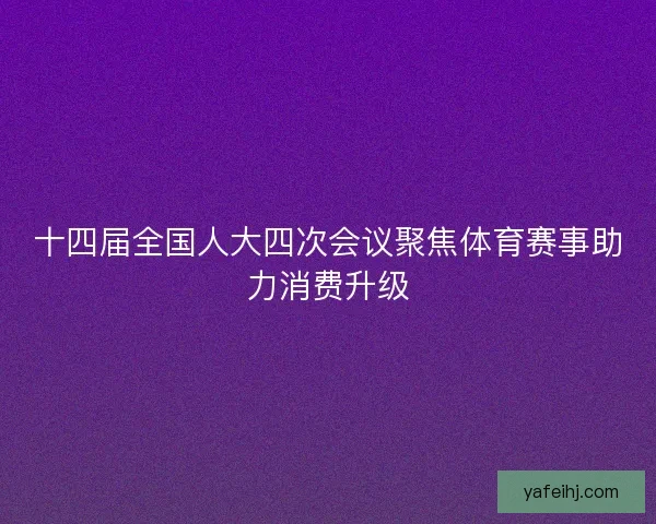 十四届全国人大四次会议聚焦体育赛事助力消费升级