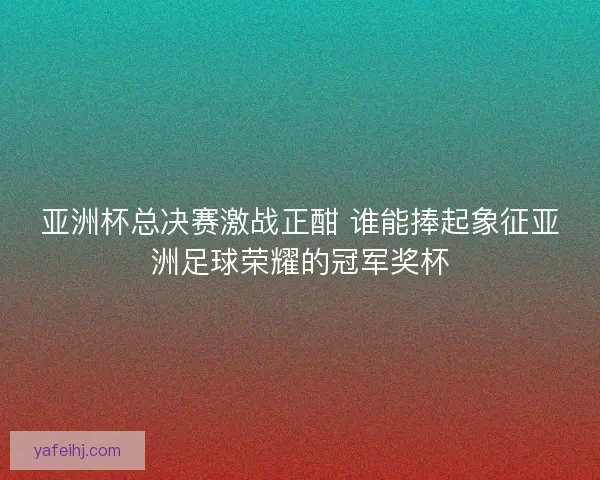 亚洲杯总决赛激战正酣 谁能捧起象征亚洲足球荣耀的冠军奖杯